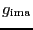$\ensuremath{g}_\ensuremath{\mathrm{ima}}$