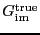 \ensuremath{G_\ensuremath{\mathrm{im}}^\ensuremath{\mathrm{true}}}