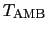 $T_{\rm AMB}$
