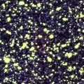 PN G007.5-05.0 PN G007.5-05.0