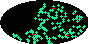 galactic footprint (+footg5.gif)
