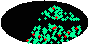 galactic footprint (+footg5.gif)