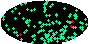 galactic footprint (+footg5.gif)