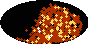 galactic footprint (+footg5.gif)