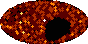 galactic footprint (+footg5.gif)