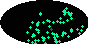 galactic footprint (+footg5.gif)