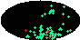 galactic footprint (+footg5.gif)