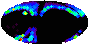 galactic footprint (+footg5.gif)